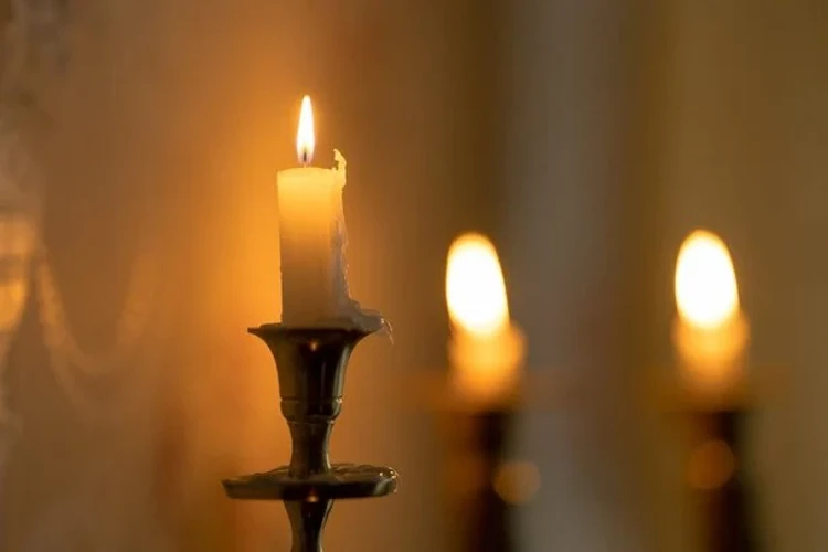 Гілки калини, яку за повір'ям не можна ламати 29 липня